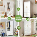 26246623