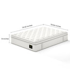 NOVAHOME 14-Inch Hybrid Mattress with Memory Foam & Pocket Springs – Queen & King